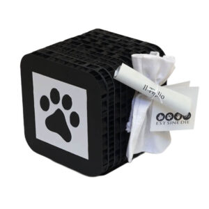 urna-in-cartone-alveolare-apollo