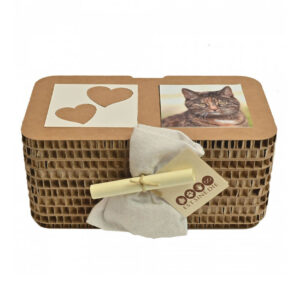 urna-in-cartone-alveolare-giova